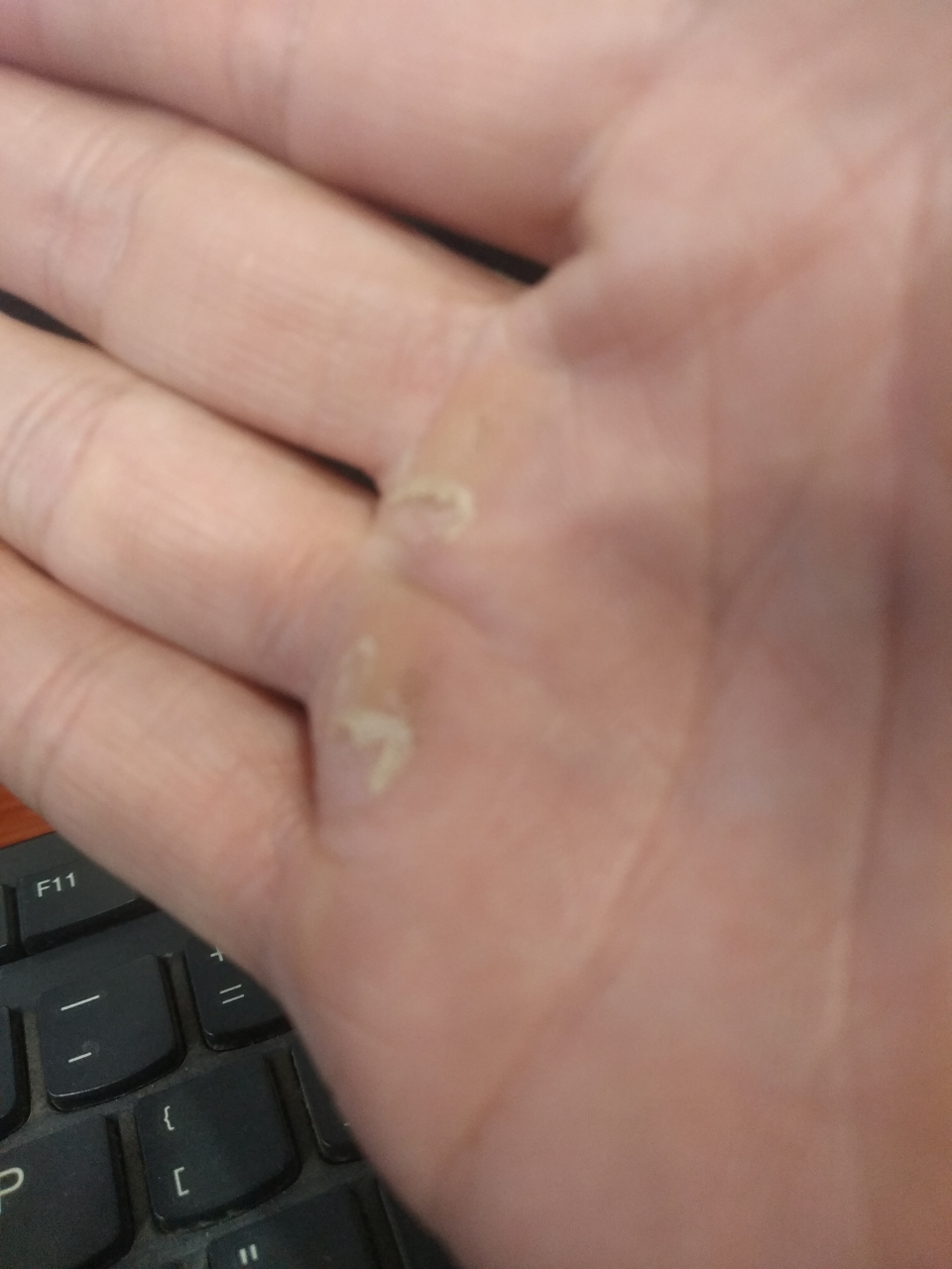 当男人的手有茧子,女人的手变粗硬,  你能肯定,诚实就在他们身上.