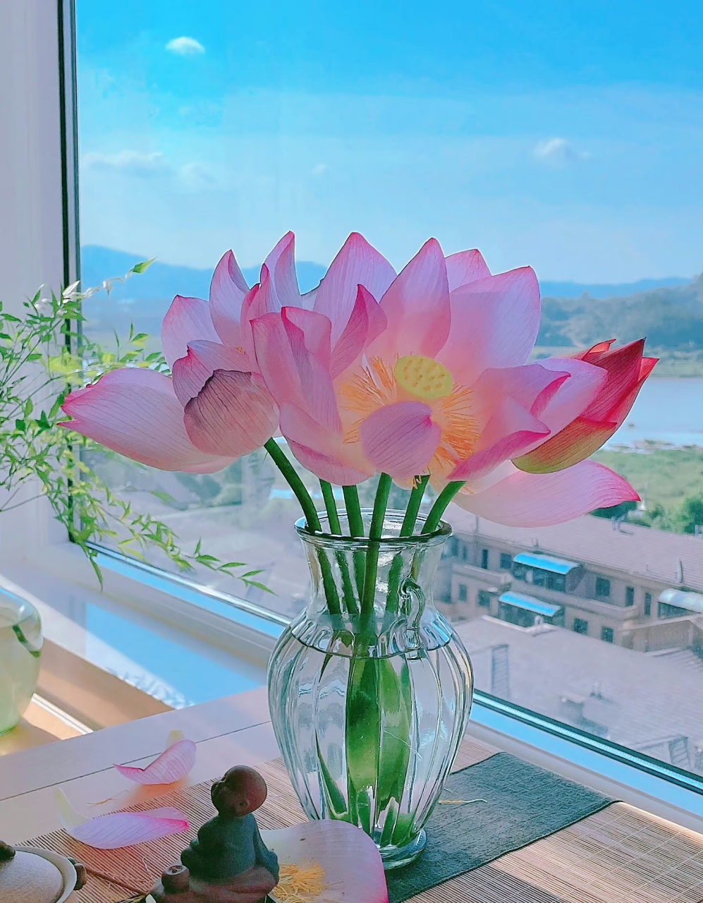 宁静淡泊,淡而生香.