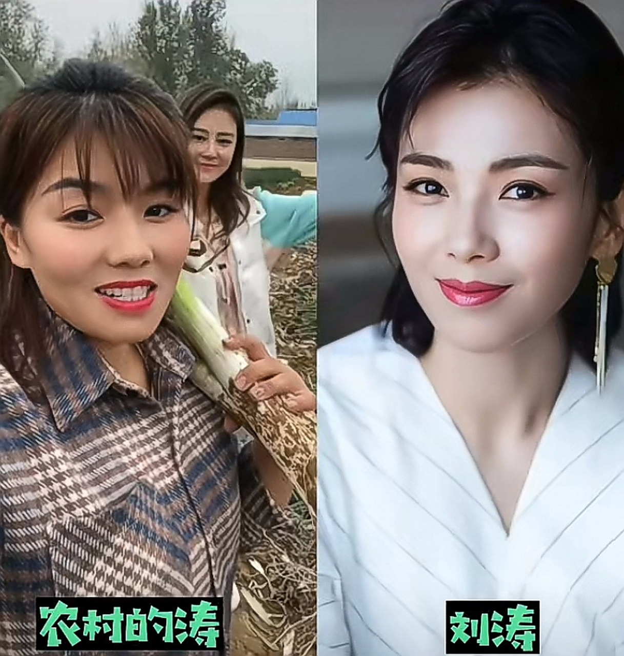 网友:农村宝妈撞脸刘涛,短短数月圈粉百万,我只想说,这世上居然真的有