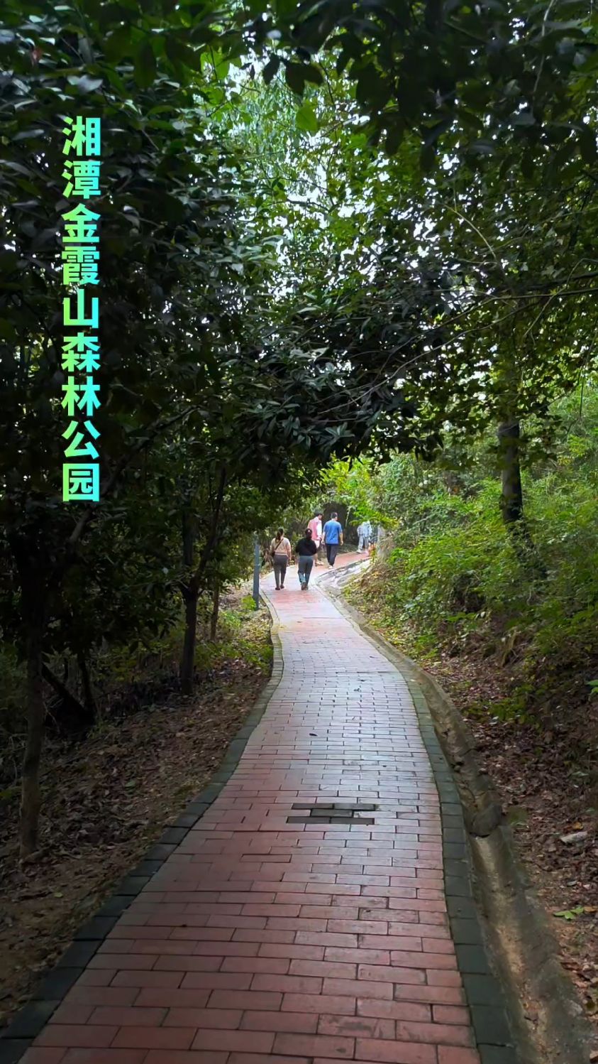打卡湘潭金霞山森林公园,天然氧吧,山清水秀