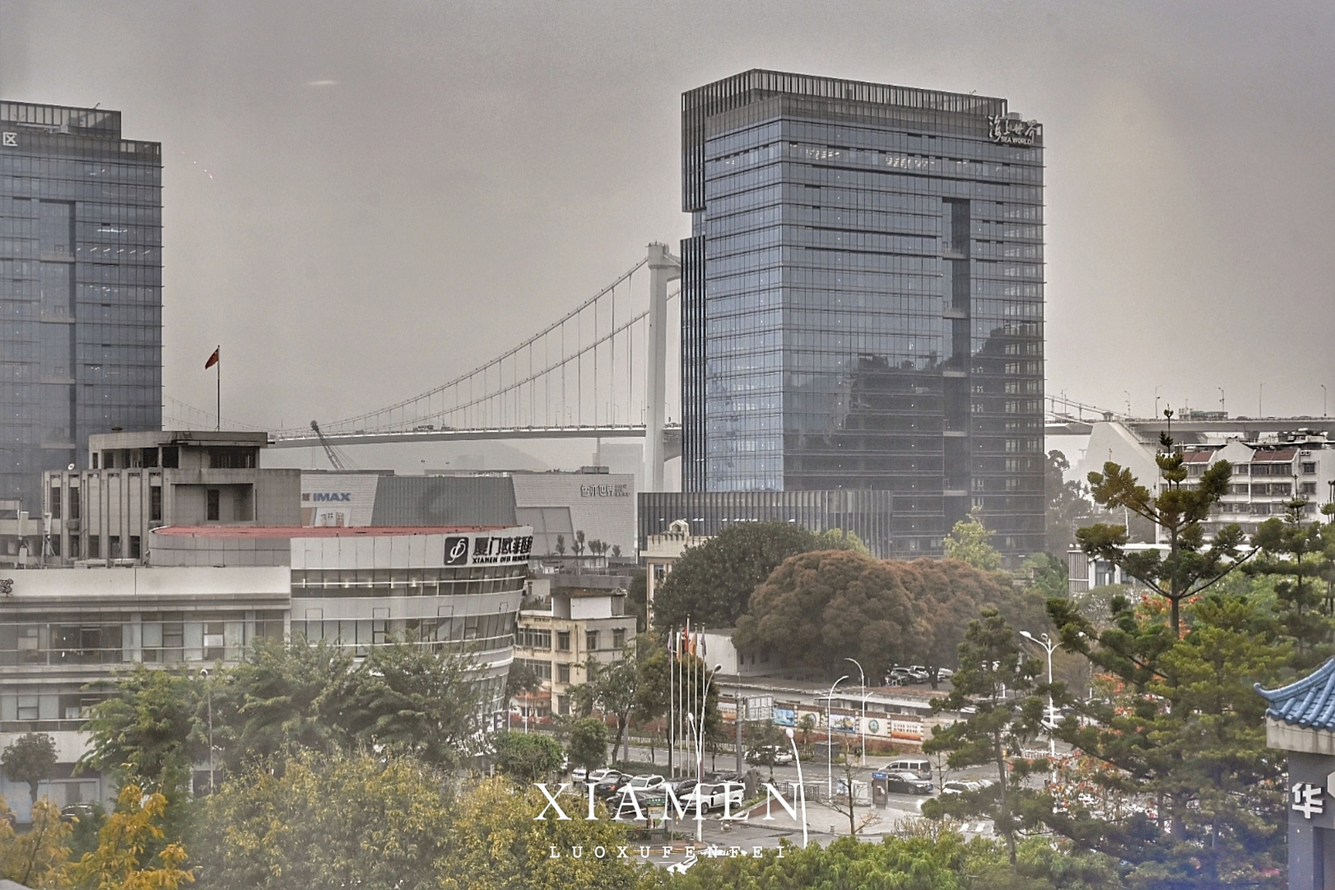 厦门金宝大酒店绝对是一家宝藏酒店!