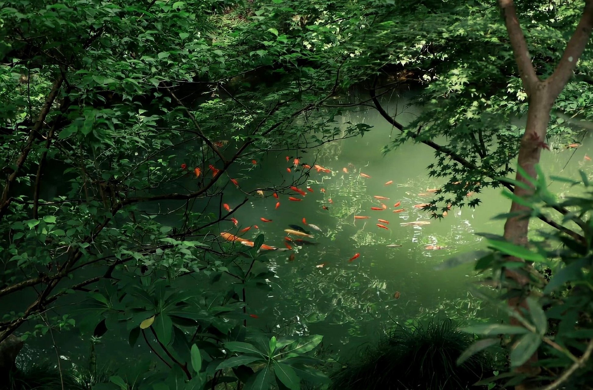 绿色系ipad电脑壁纸～ 676767