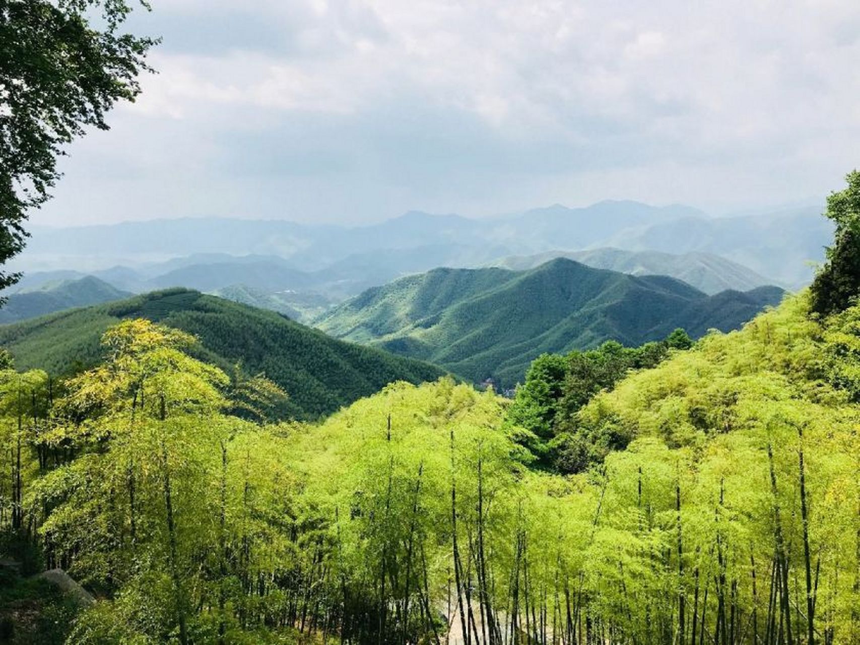 今日譯詩: 《鐘山即事》 (北宋)王安石 澗水無聲繞竹流,竹西花草弄春