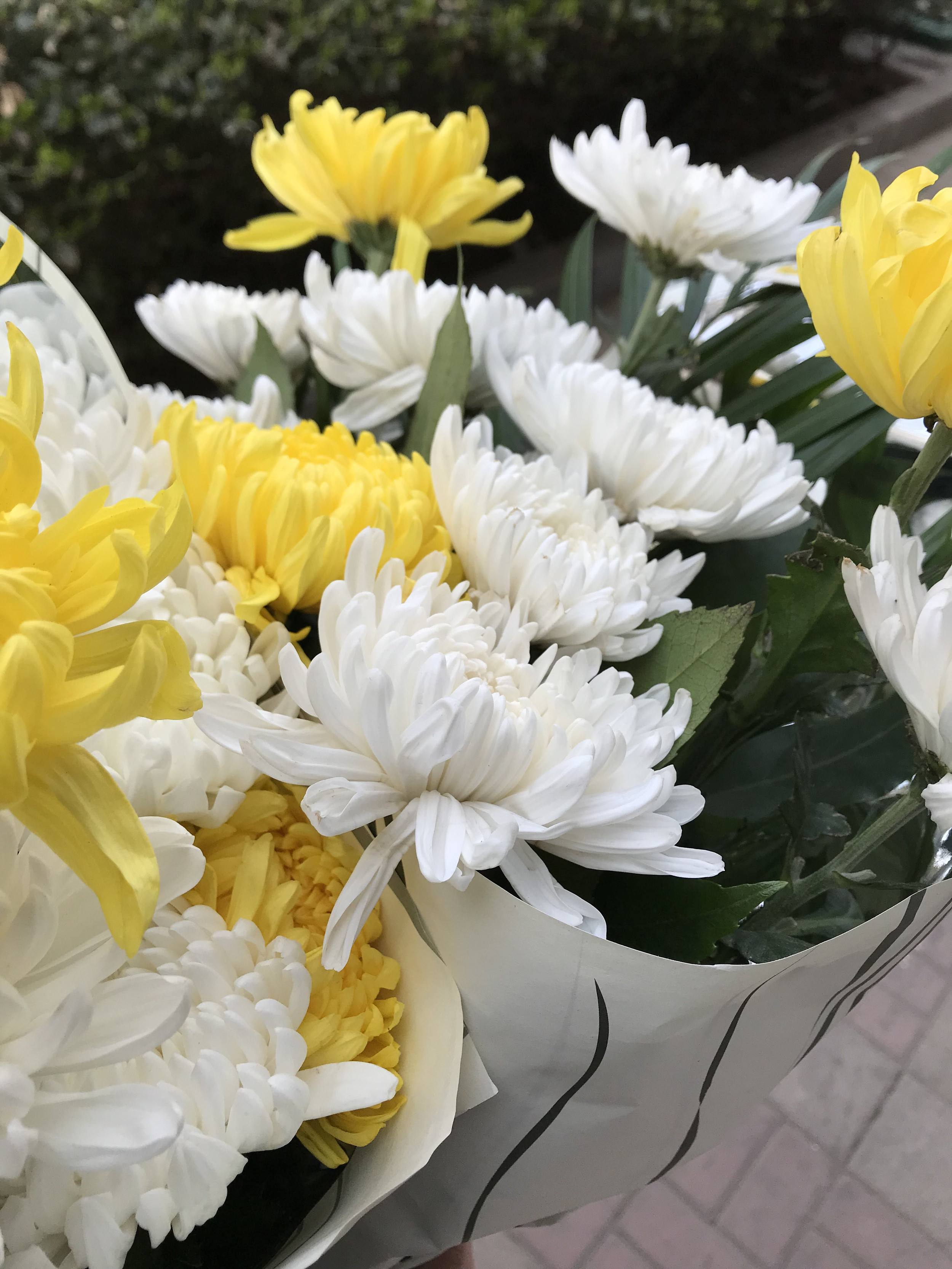 临沭上五七坟准备什么(临沂五七坟是怎么算时间)