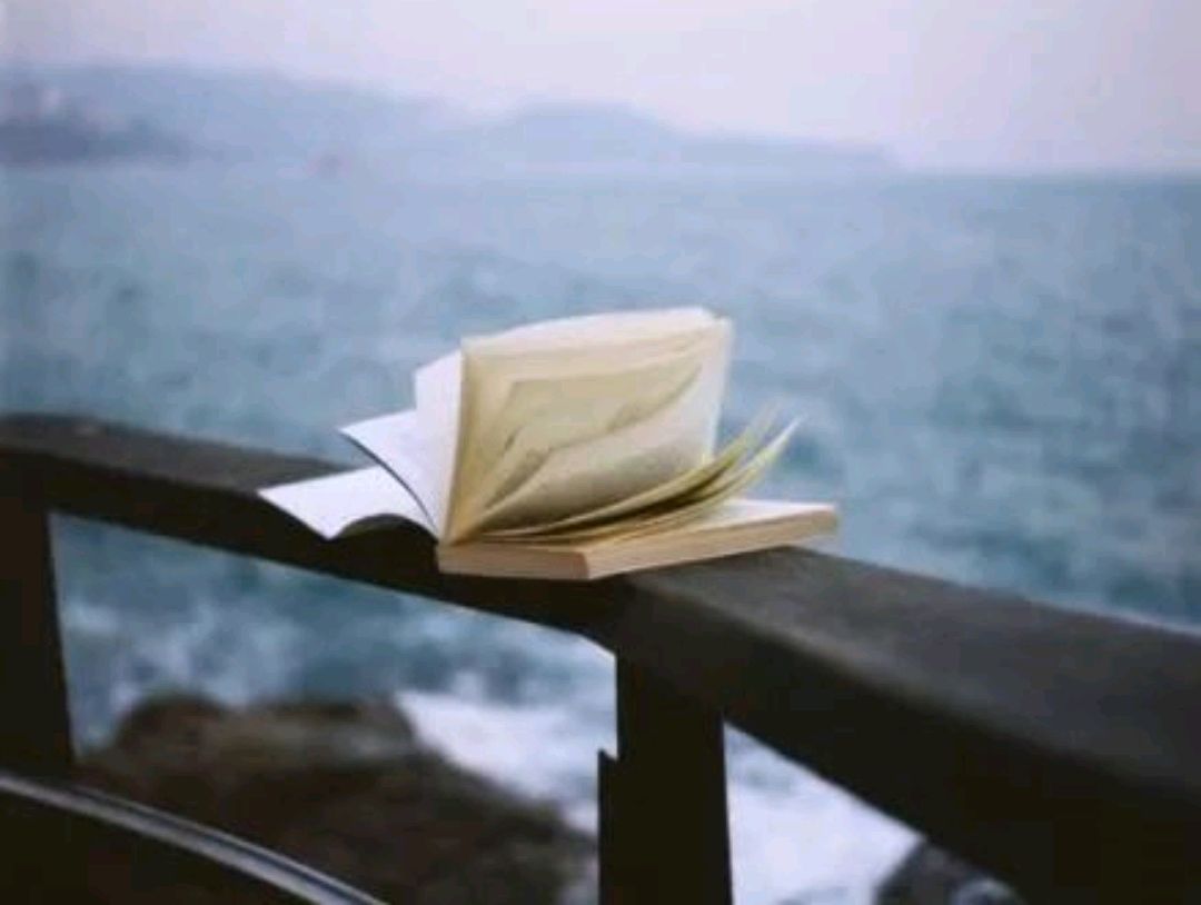 等不到,就不等了