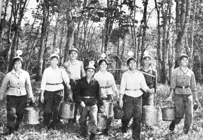 记忆共和国长子——海南农垦知青永不褪色的芳华