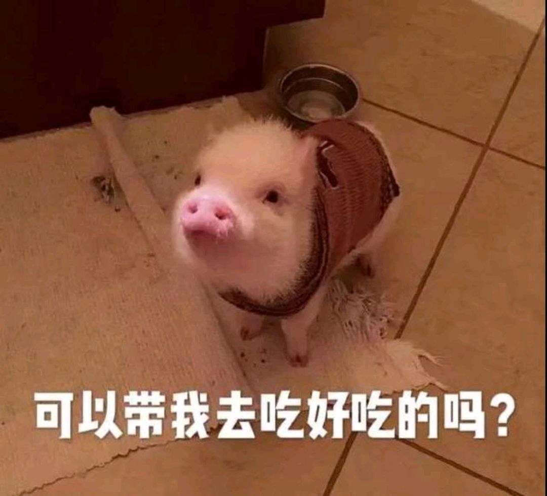 汪老—四方食事,不过一碗人间烟火