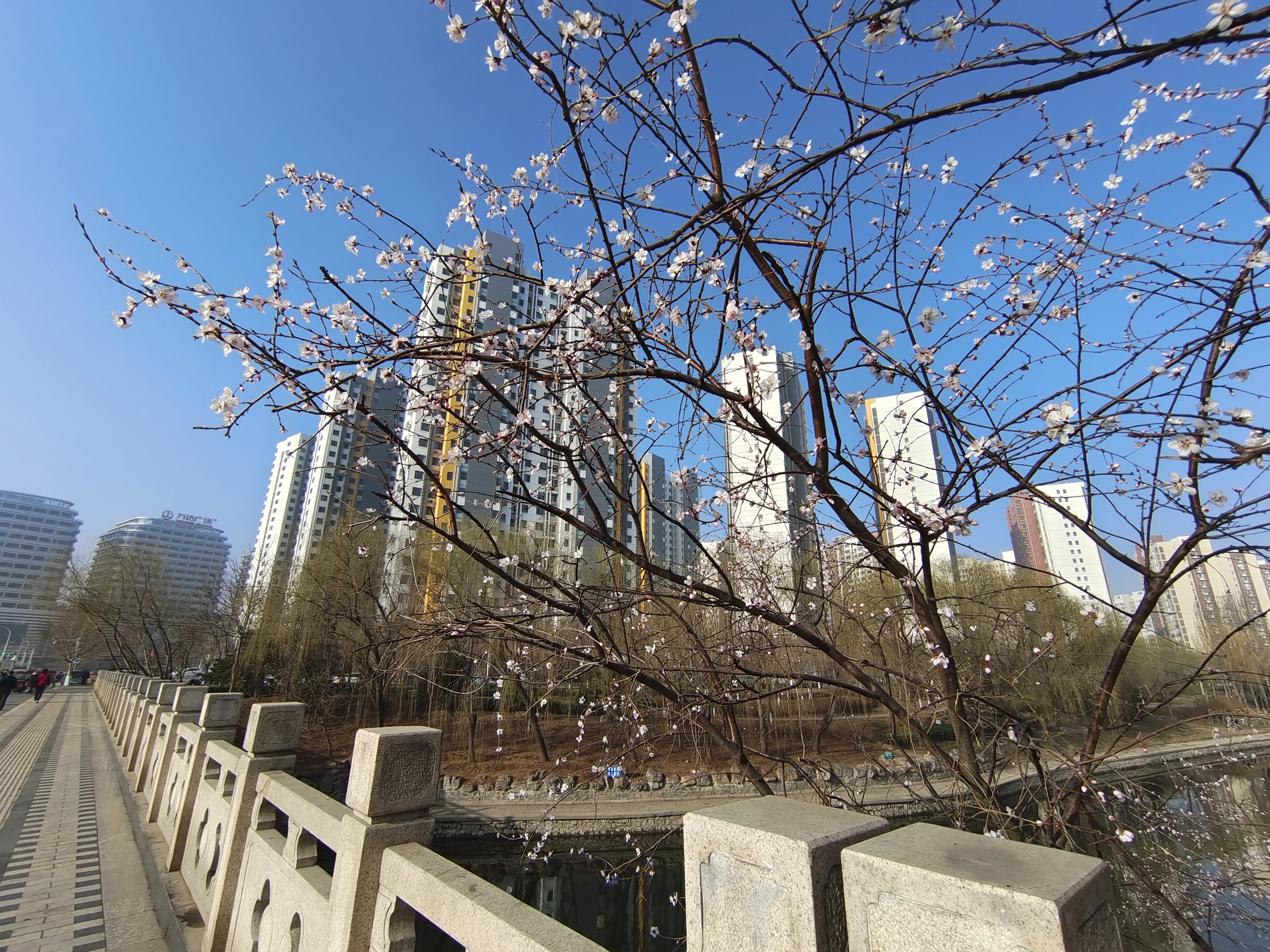 2022年3月14保定市府河公园