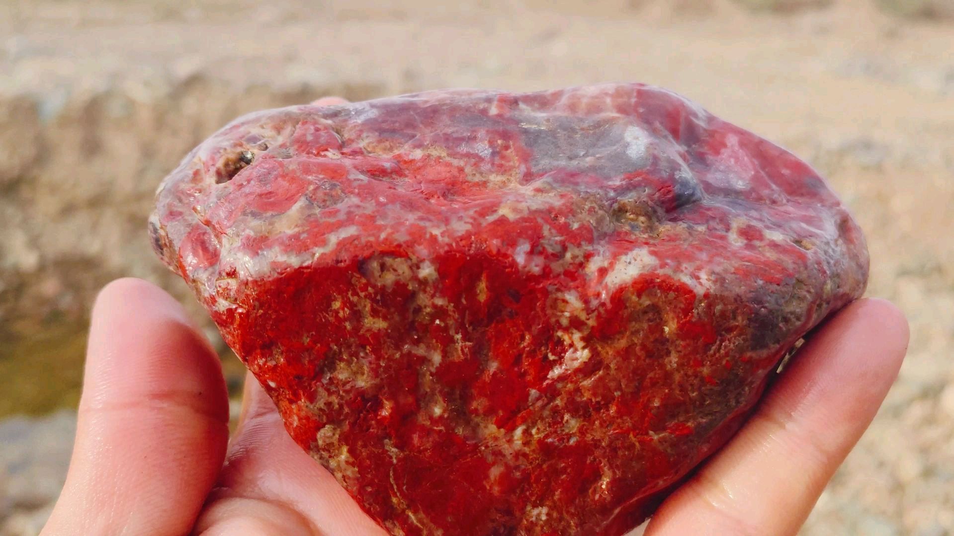 这块石头是鸡血石吗?如果是的话,这辈子就吃穿不愁了