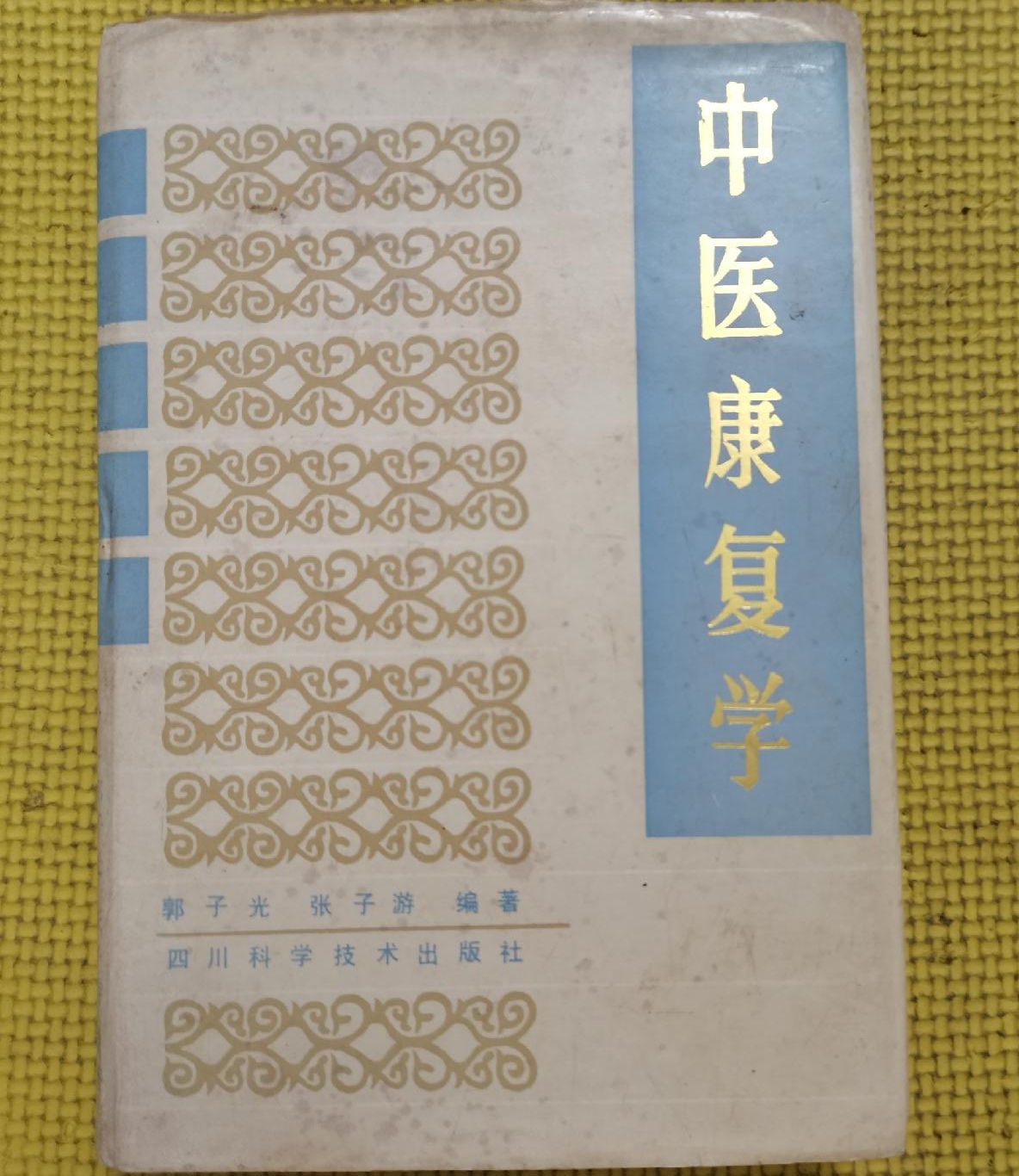 国医大师郭子光