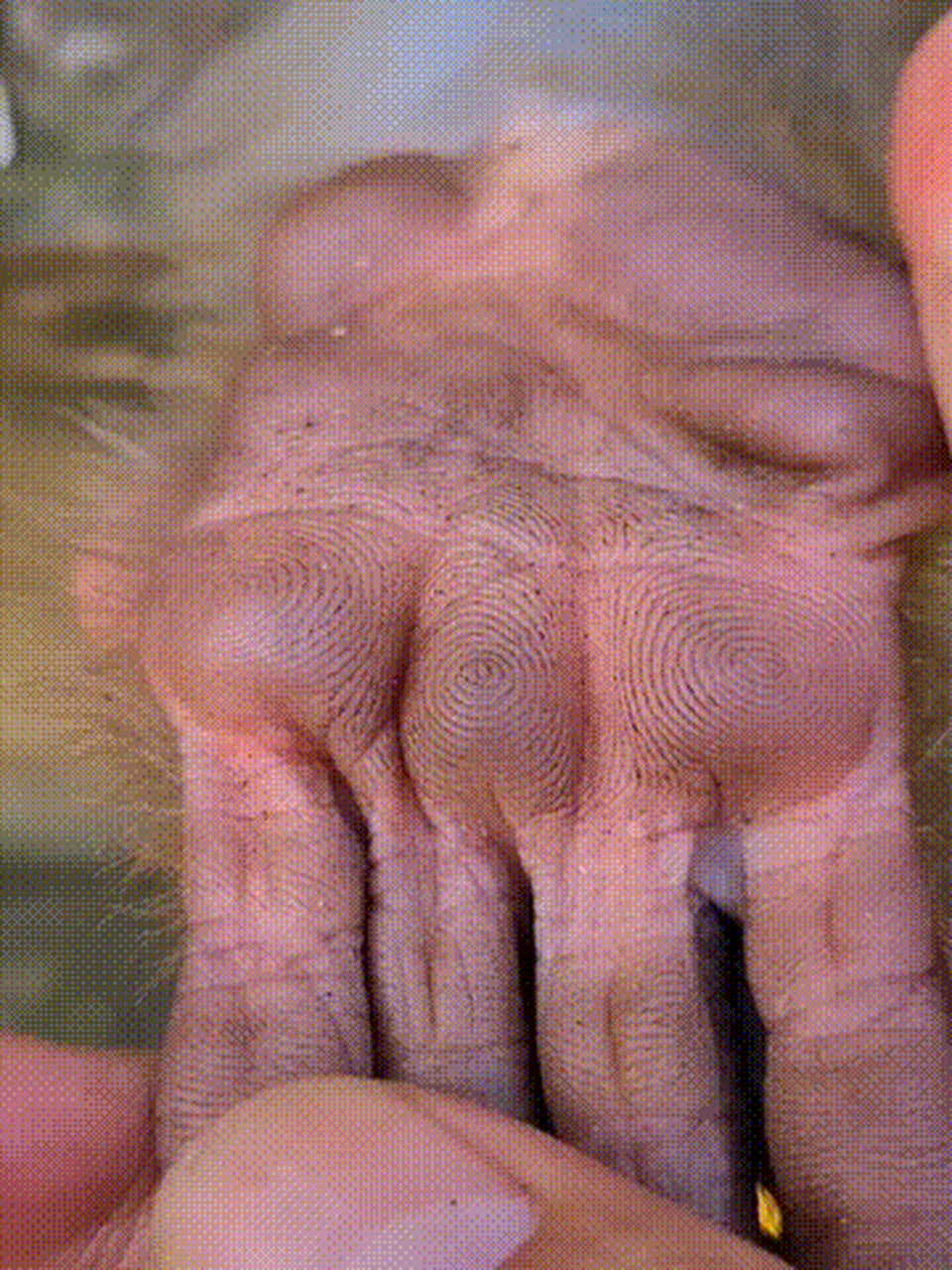 这是我见过脾气最好的猴子了,小伙子天天和动物园里的猴玩,喂的东西也