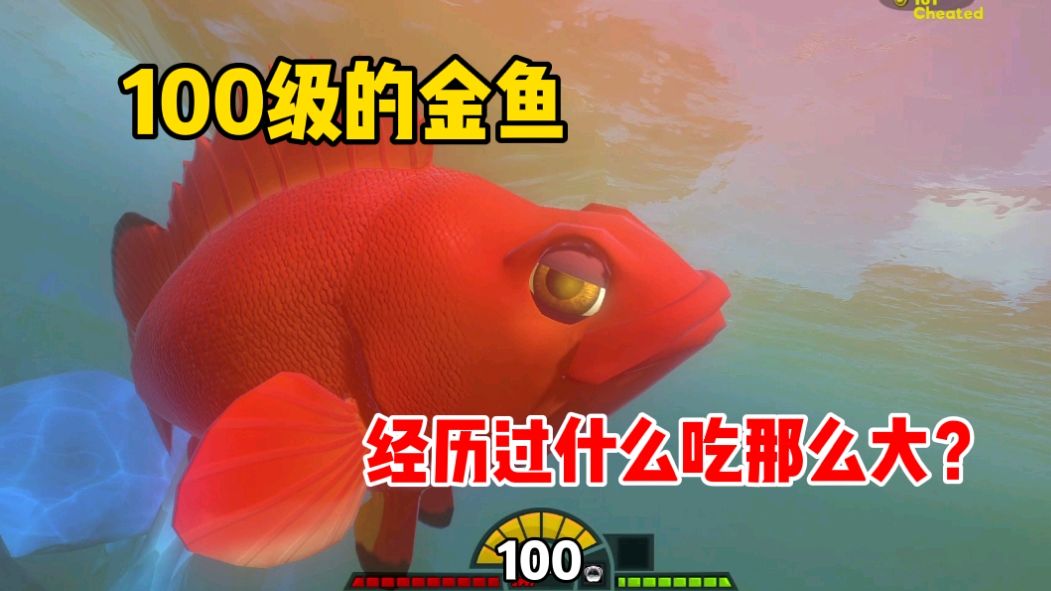 海底大猎杀:这条金鱼经历了什么?拥有100级的庞大体型!