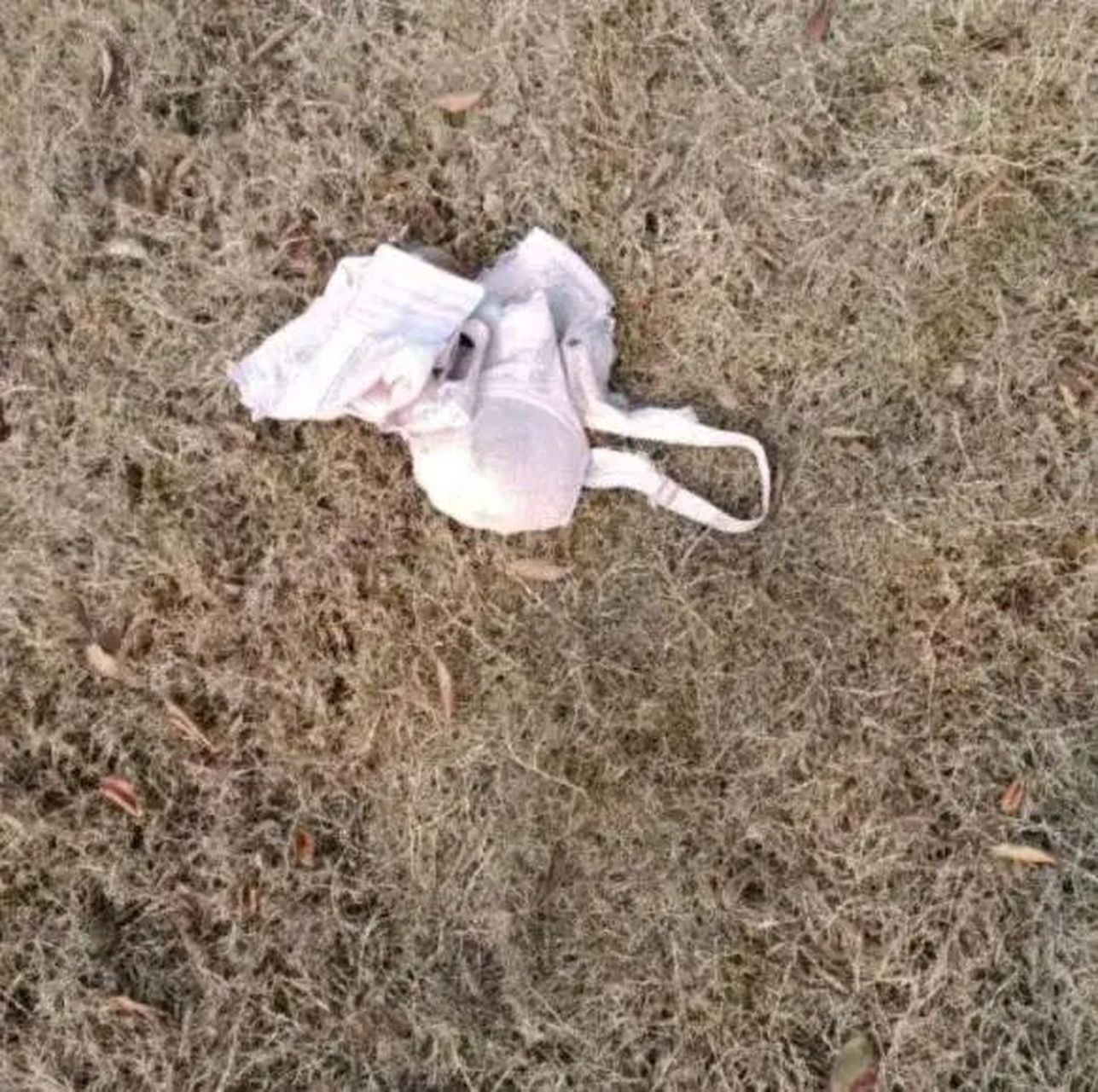 现在年轻人,咋都这么擅长户外打野了[吃鲸]