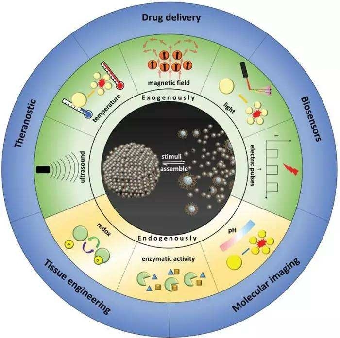 影响矿质元素吸收的因素