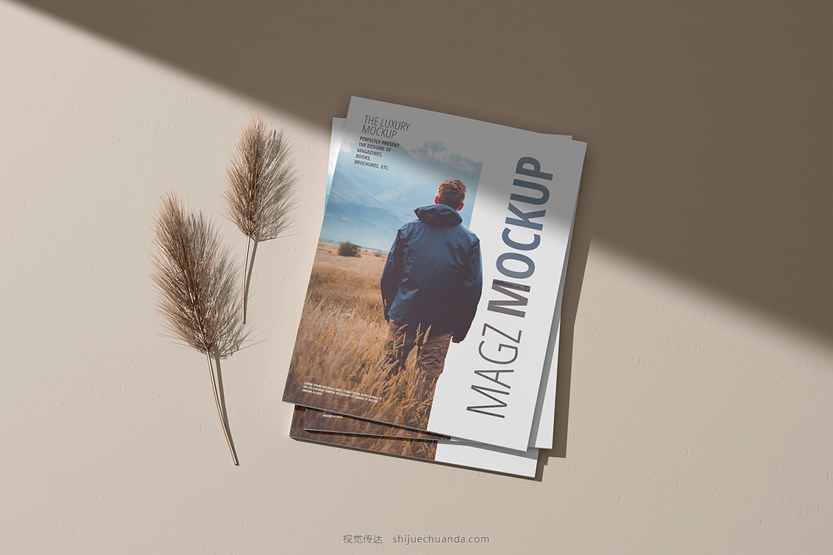 Magazine Mockup-5.jpg
