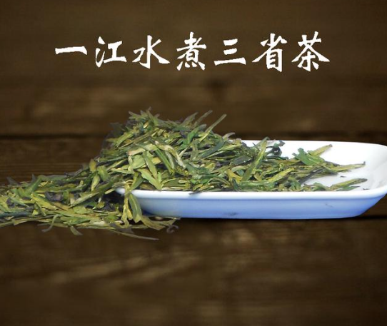 魁龙珠茶是什么茶