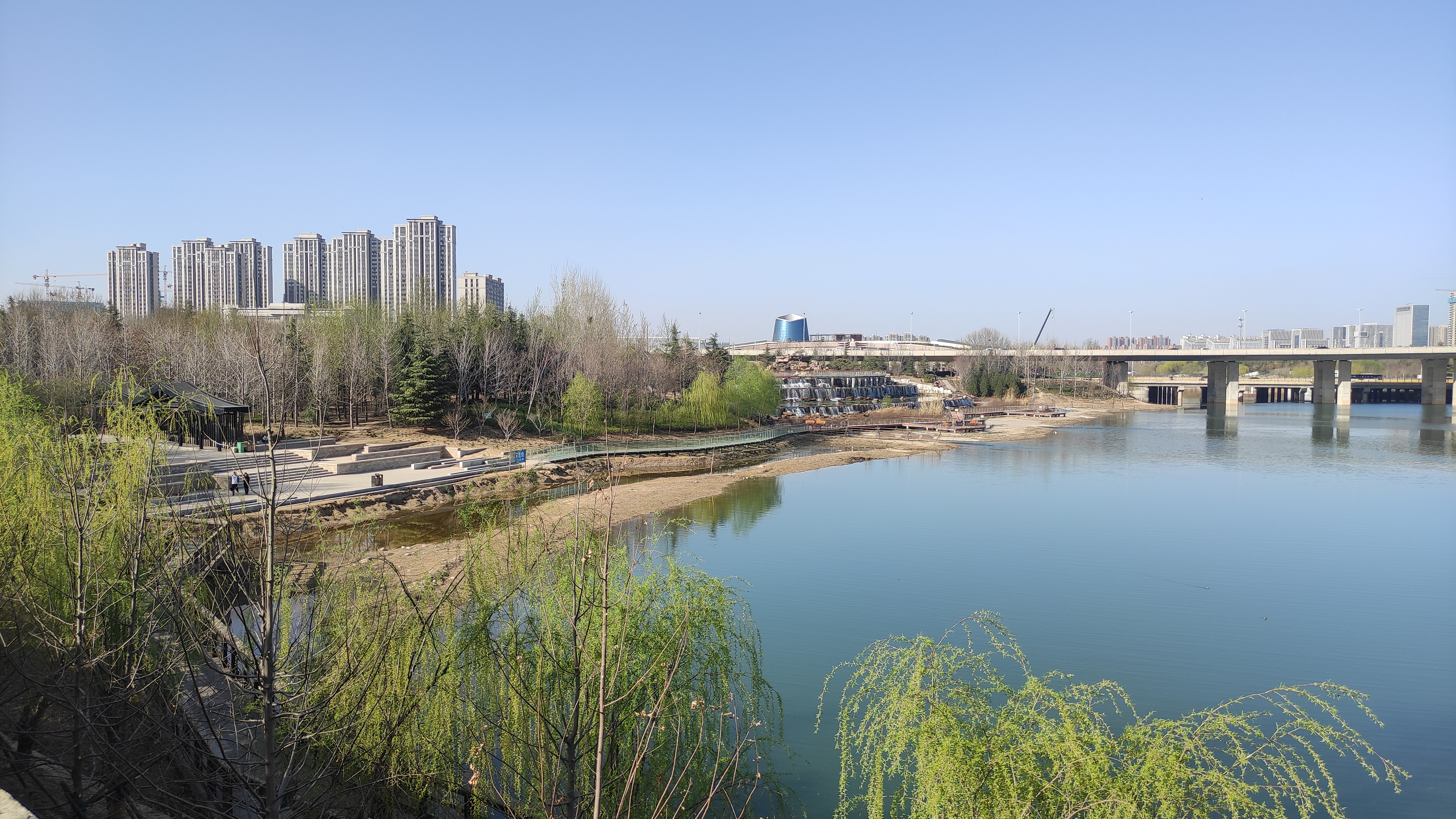郑州西流湖公园北区的花还没开,不要跑空了,还要等一个月,4月中旬就开