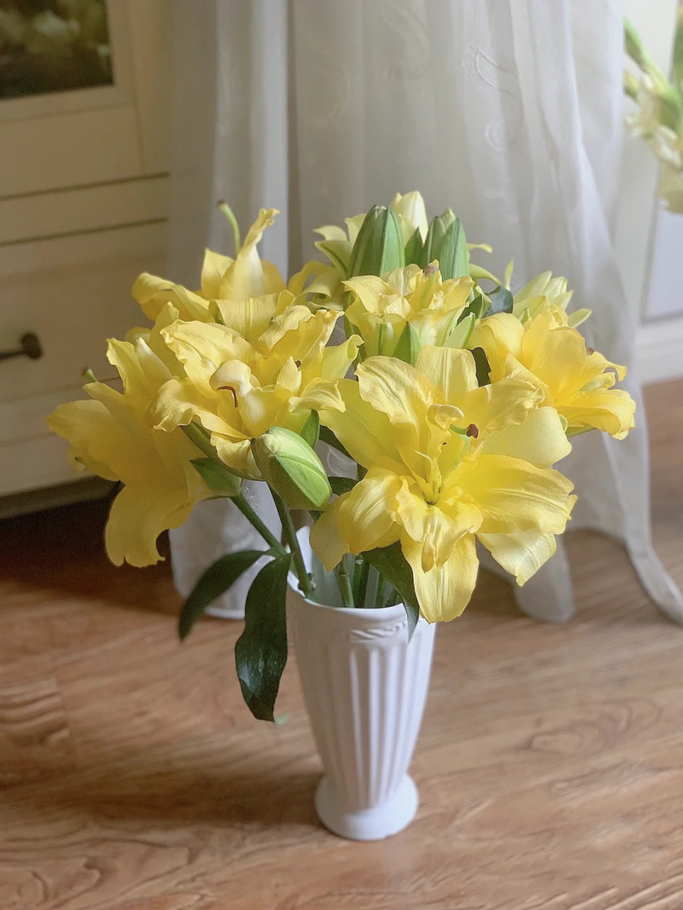 今天和大家分享重瓣ot百合—异域阳光 异域阳光的黄色极舒适的治愈色