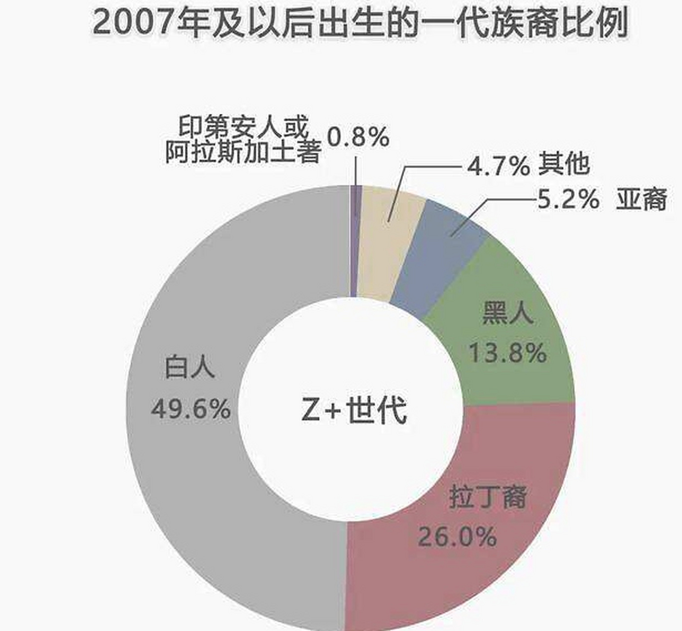 美国人口构成图片