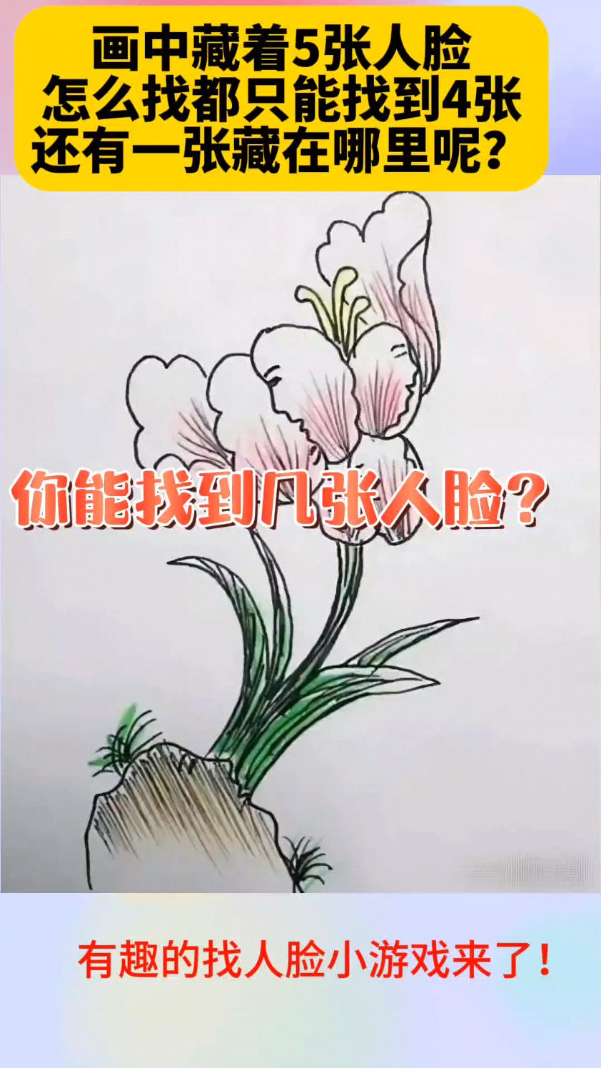 益智找人脸:画中藏着5张人脸,我找半天只能找到4张,你能找到几张呢?