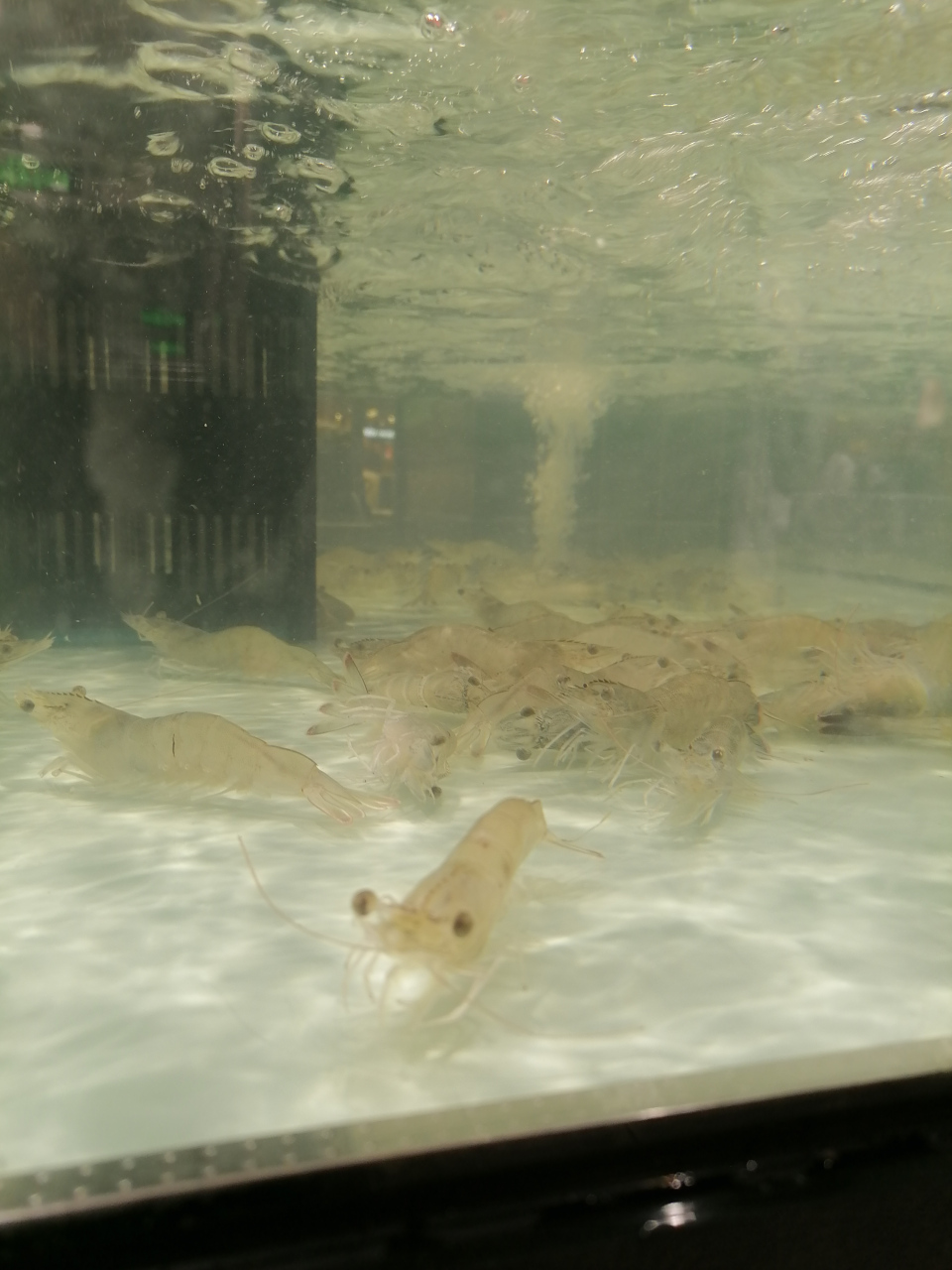 "我在等你,你也说在等我." 算了吧,就这样算了,不管真真假假.