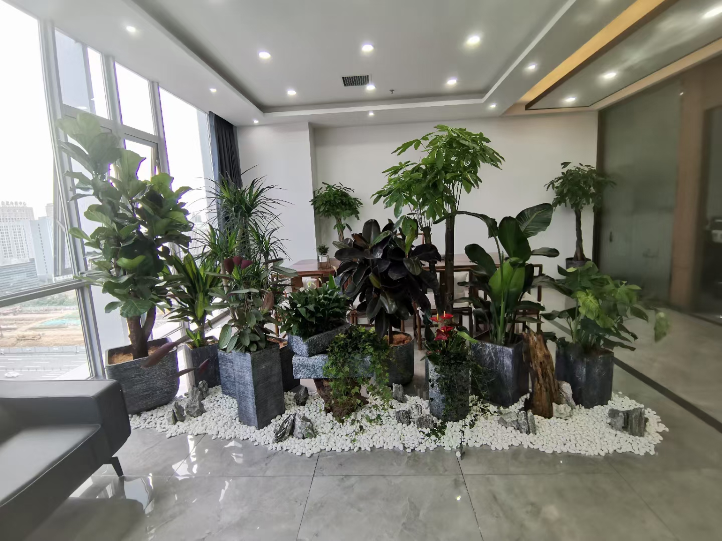 办公室绿植看起来不错哦