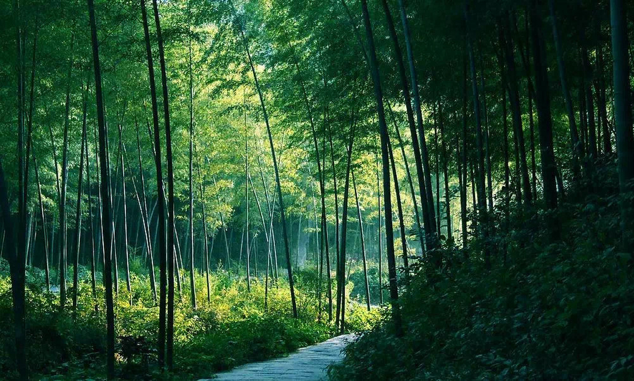 白水涧风景区图片