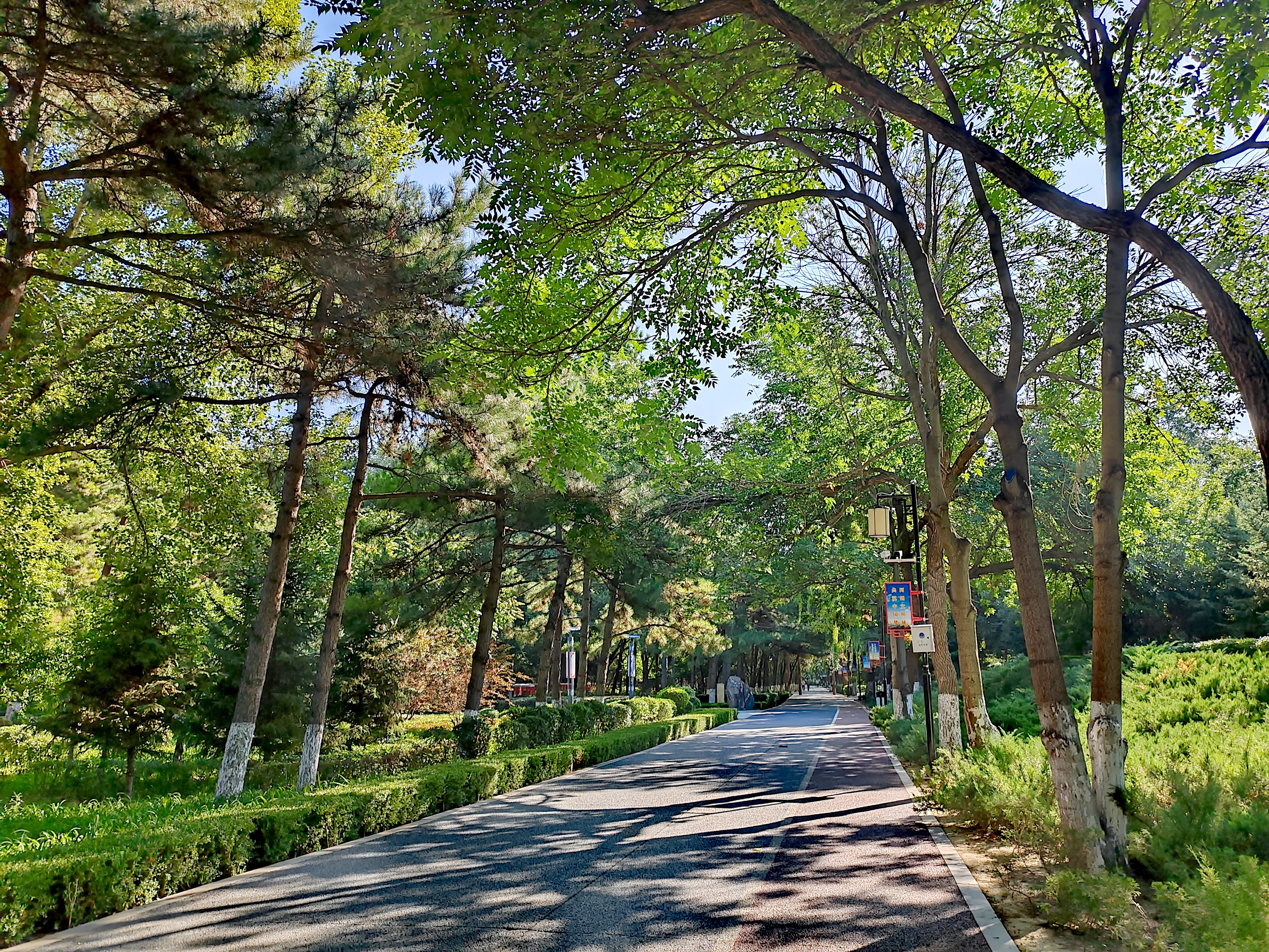 「走走拍拍61内蒙」质朴的赤峰植物园