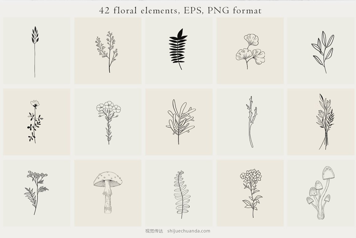 Floral Botanical Illustrations-1.jpg