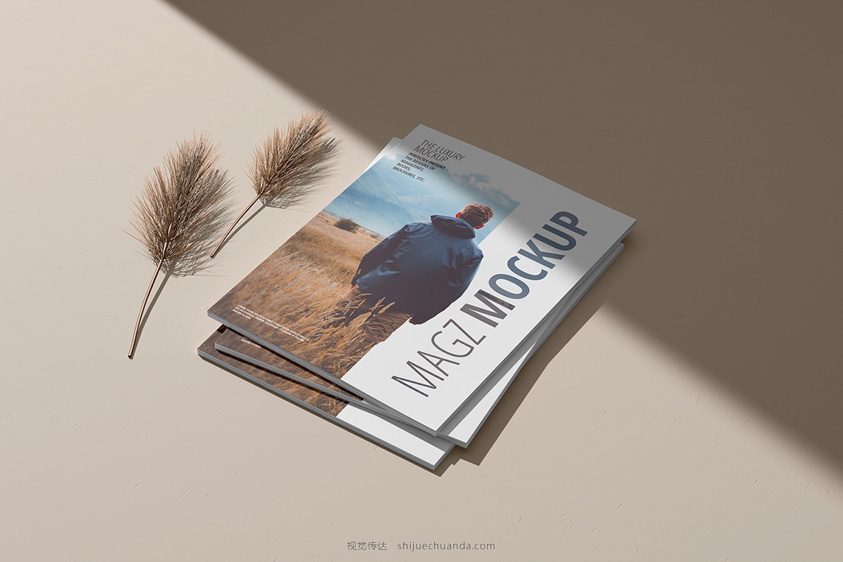 Magazine Mockup-3.jpg