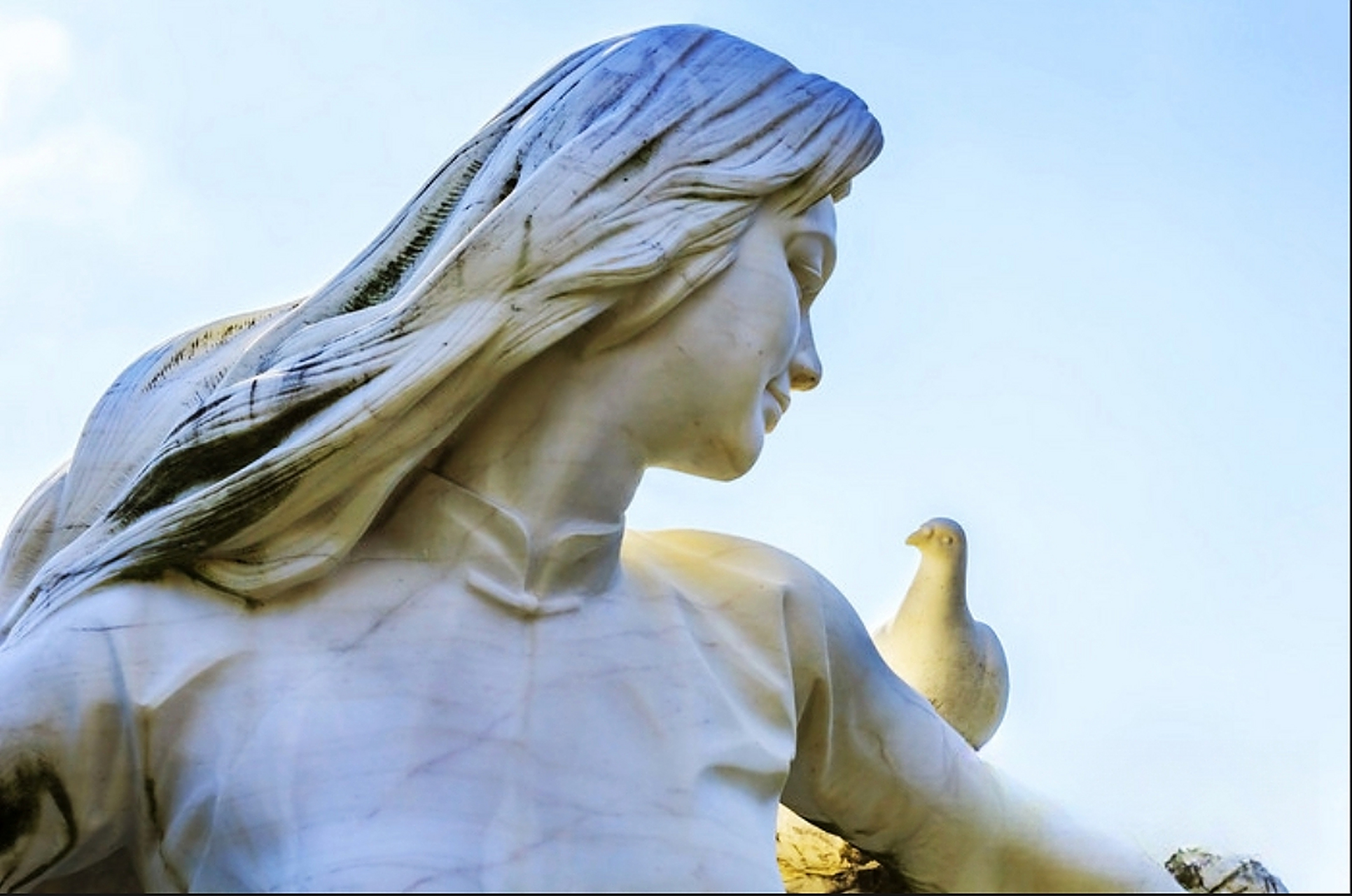 我国送给日本的和平少女似乎都在发出嘲笑……  70多年前,日本广岛