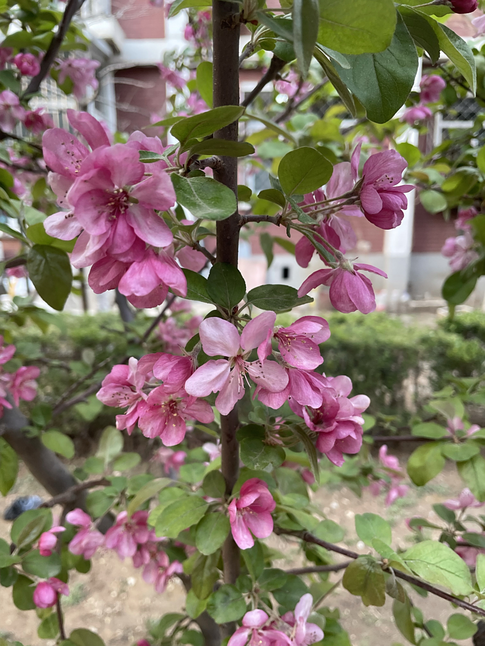 生发—生长—-生命  春天总是生机盎然的.