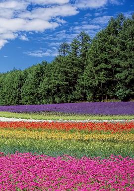 《 北海道：众神的花园》传奇版本用什么修改