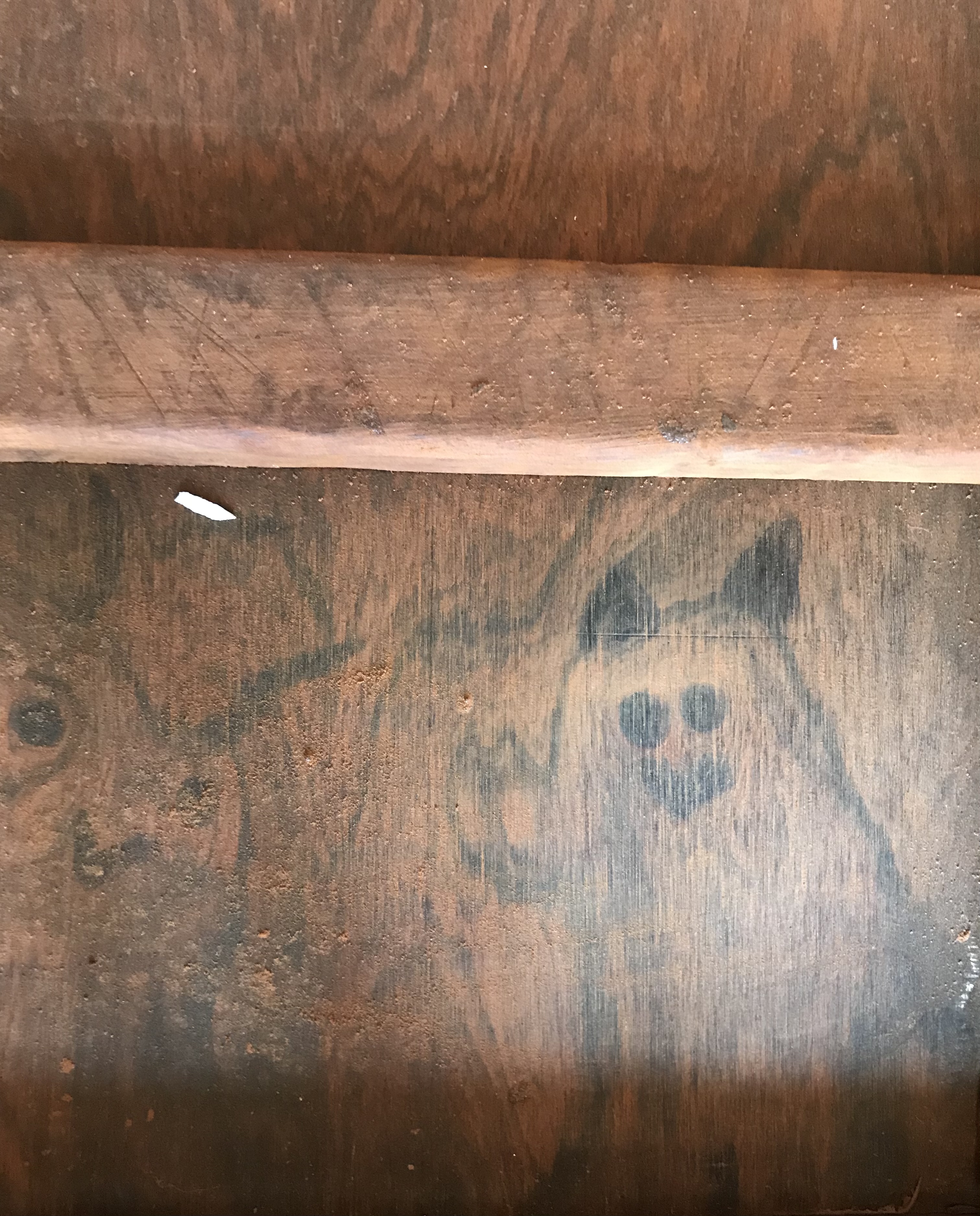 微凹黄檀特殊纹理