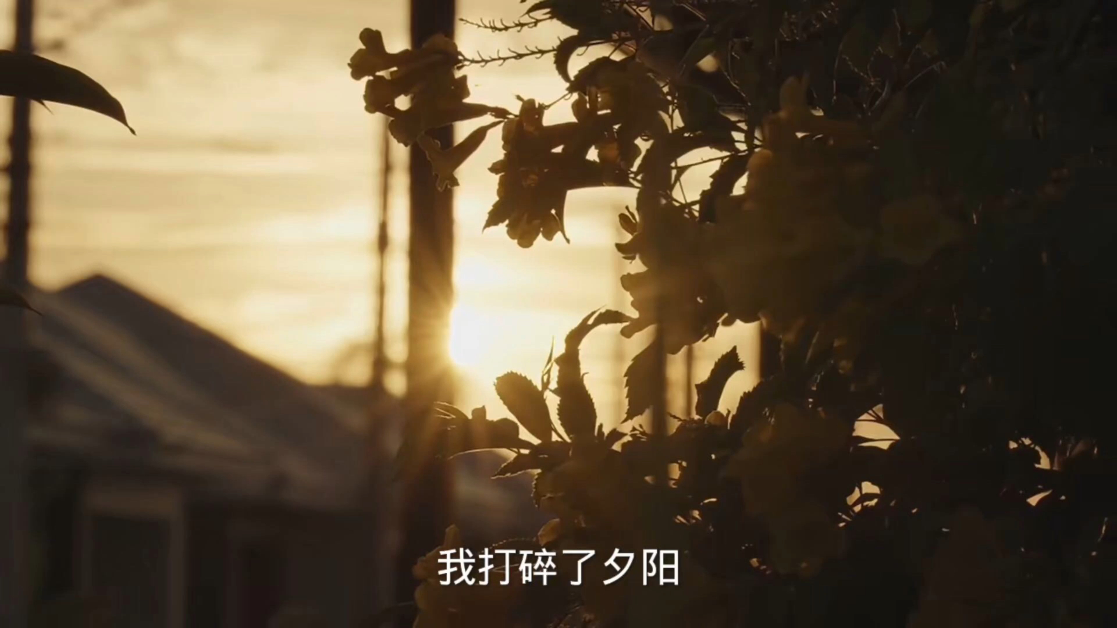 心灵鸡汤;唯美画面!