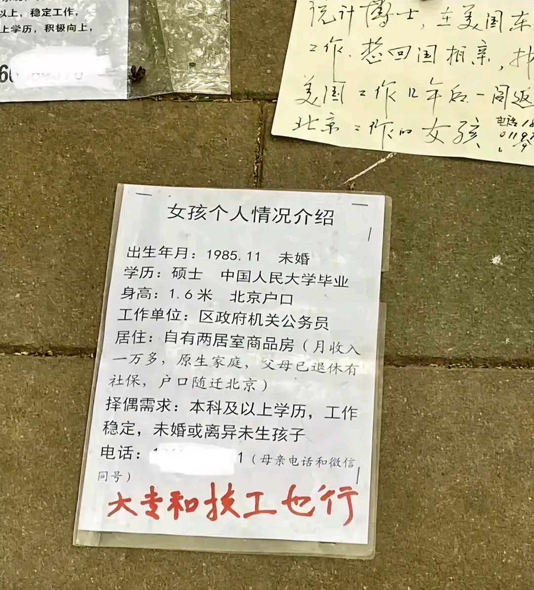 北京某公园,一个妈妈给女儿征婚.
