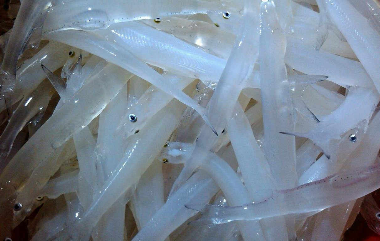 浙江省湖州市这五种特产,你们知道哪几种?