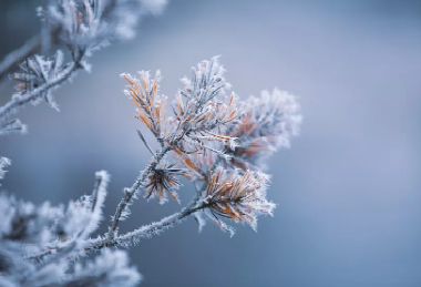 岁暮短景,霜雪寒霄,分享苏辙的一首《小雪,心净要令万事空