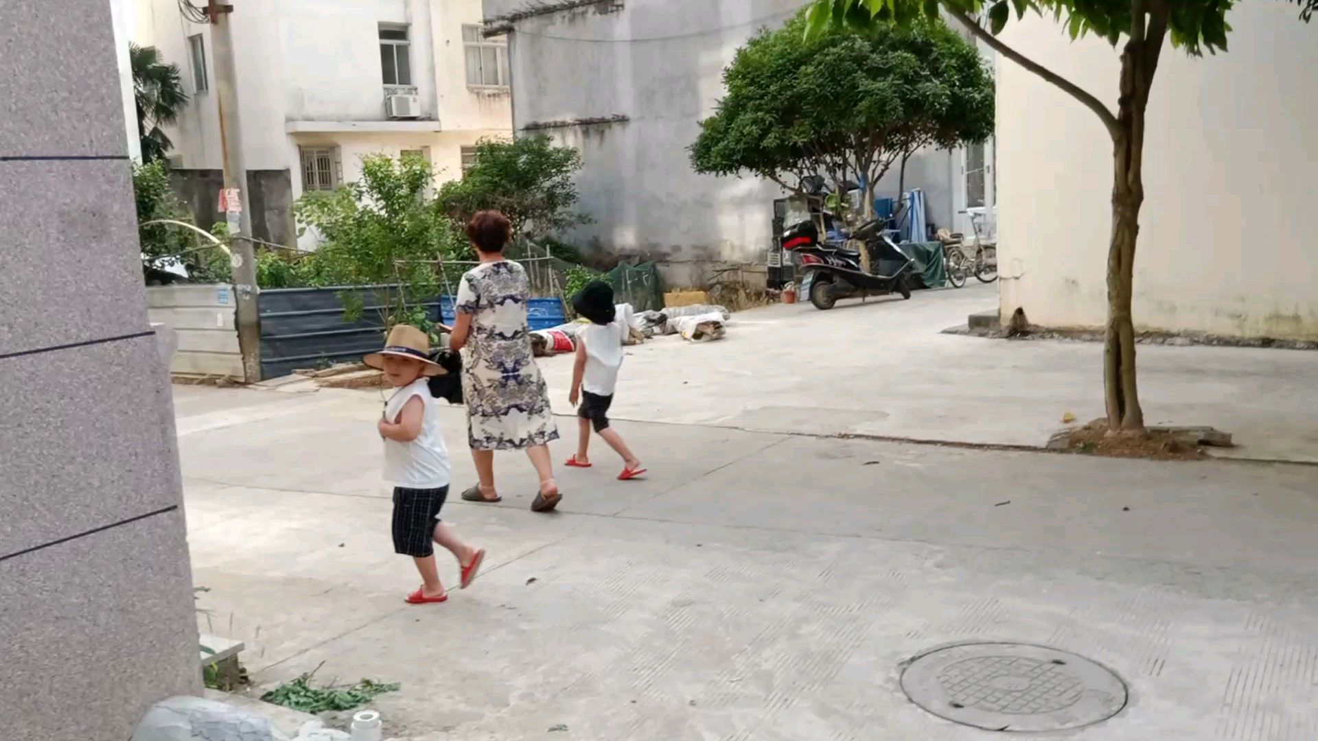 昨天看西瓜,今天挖土豆,忙