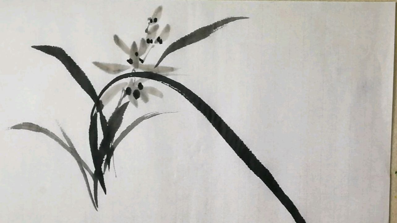 2.2.4.1不同形态的兰花,兰花,花卉,花鸟鱼虫,国画快速入门