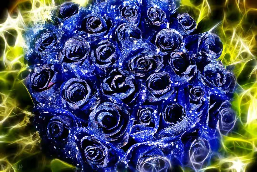 蓝玫瑰花语图片(蓝玫瑰花语图片大全唯美)