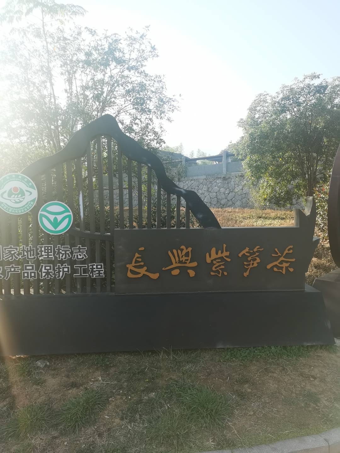 分享图片紫笋茶又名长兴紫笋产于浙江省长兴县