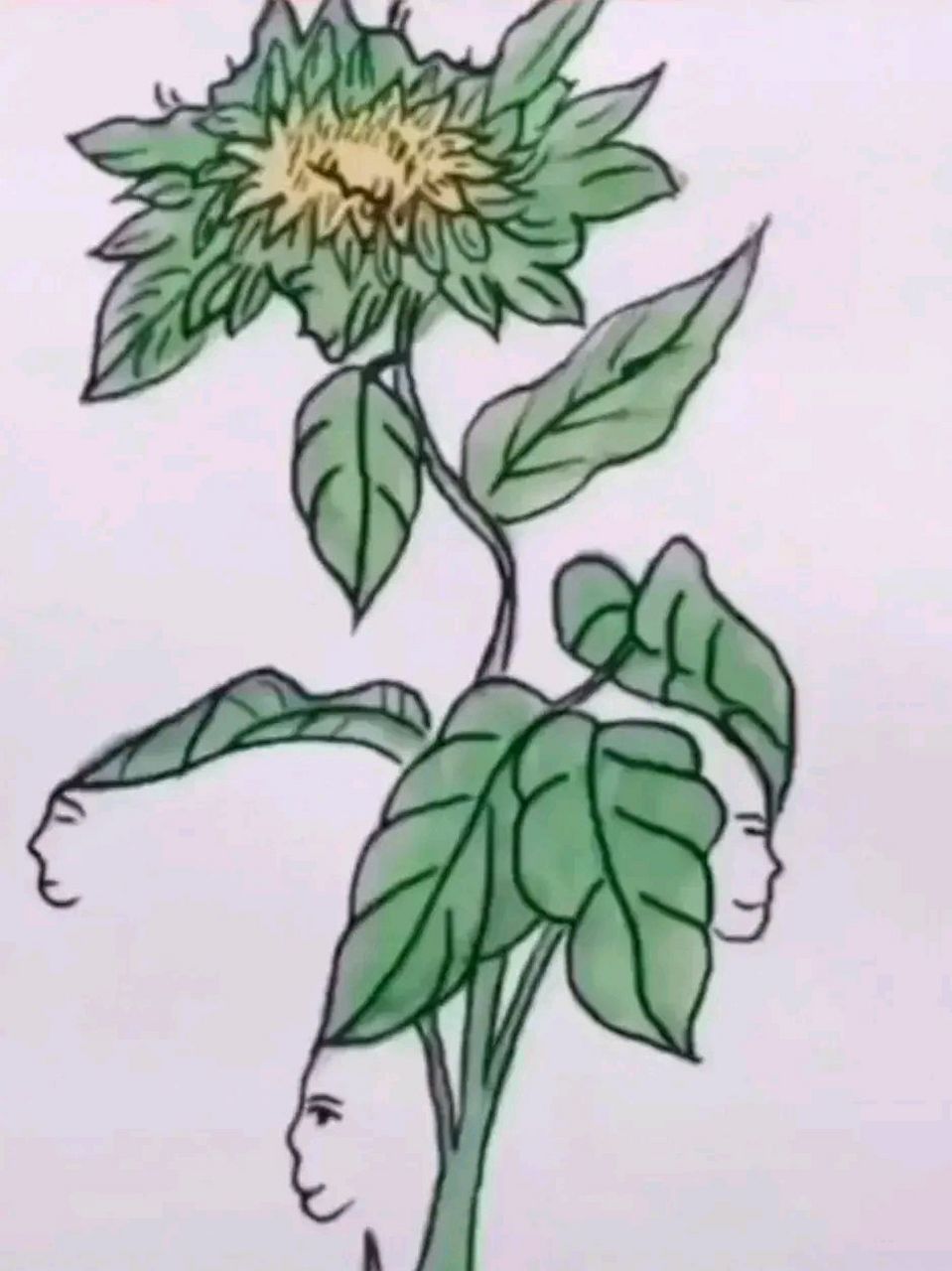 心理测试:眼力挑战,图中隐藏着7张脸,你能全部找出来吗?