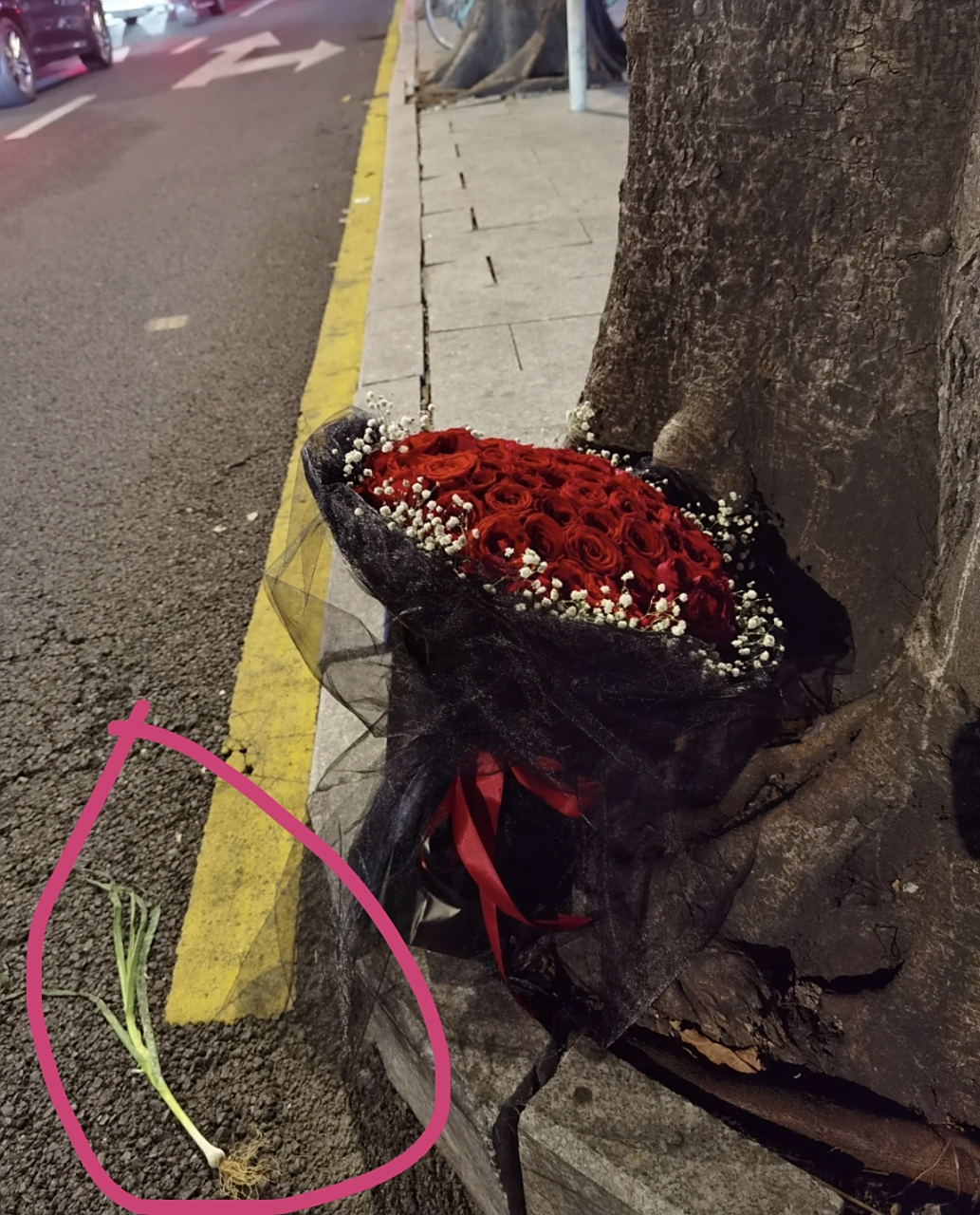 网友:一束被遗弃的玫瑰花,旁边又有一根蒜,难道是一位卖菜大妈的爱恨