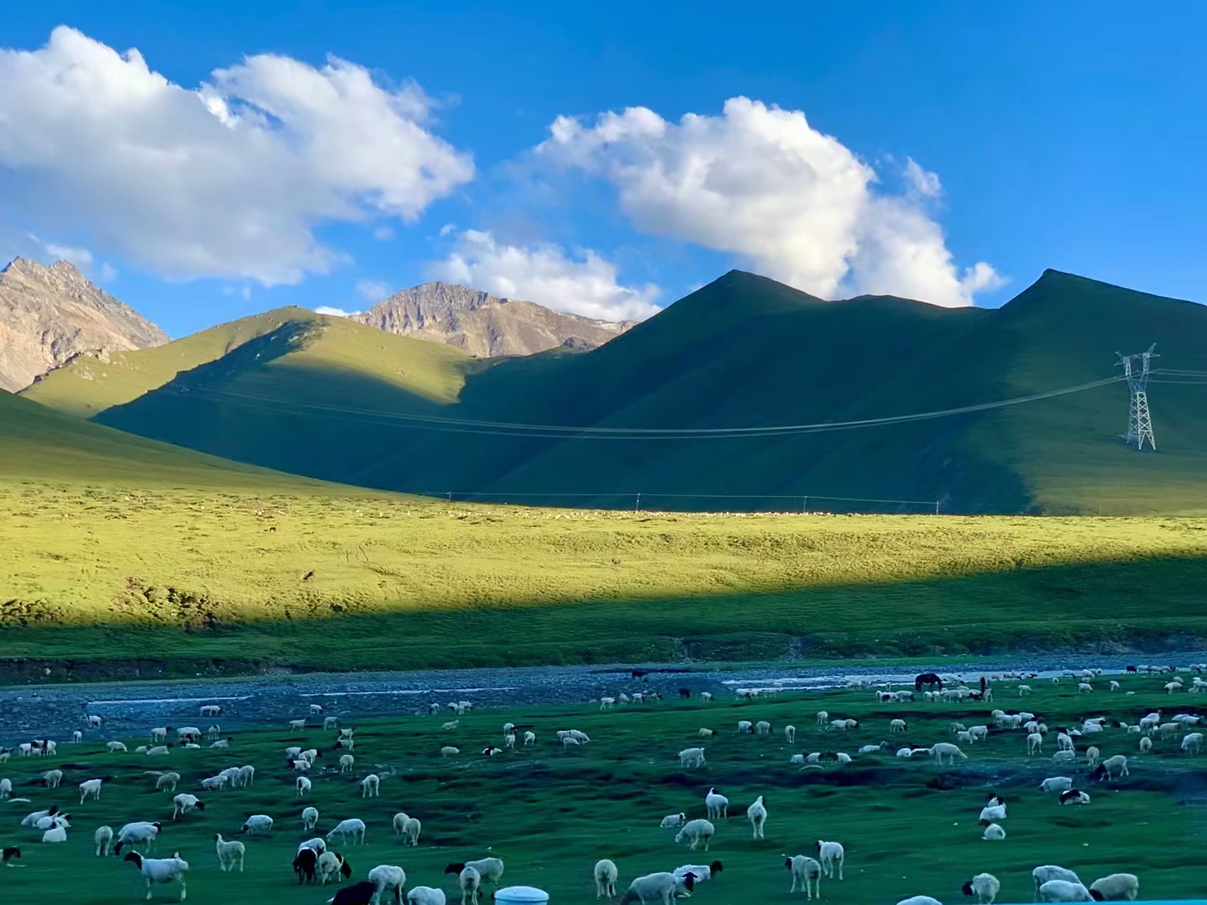客片分享[嘿哈] 手机的画质配不上伊犁的美景 眼睛看到了,仿佛置身在