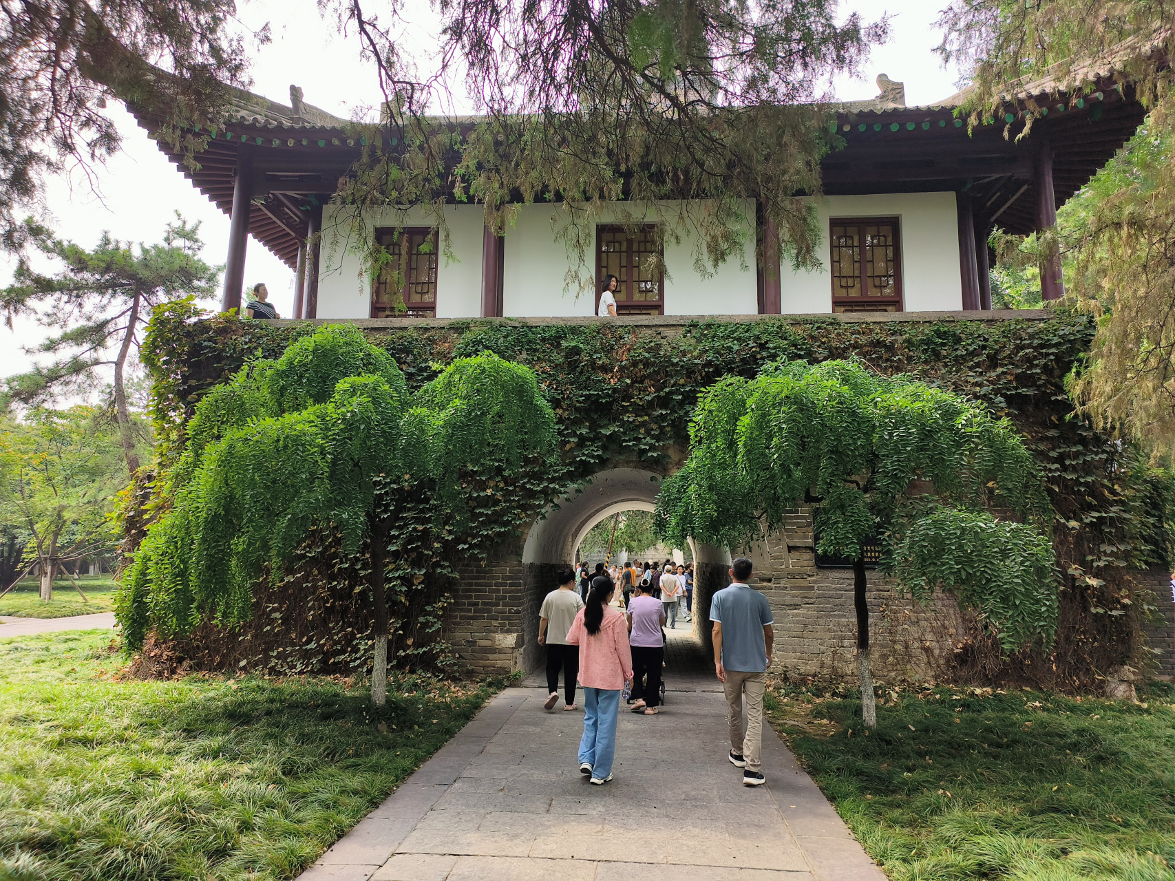 西安市小雁塔景区内的白衣阁松柏环绕,四周芳草萋萋,一幅初秋盛景