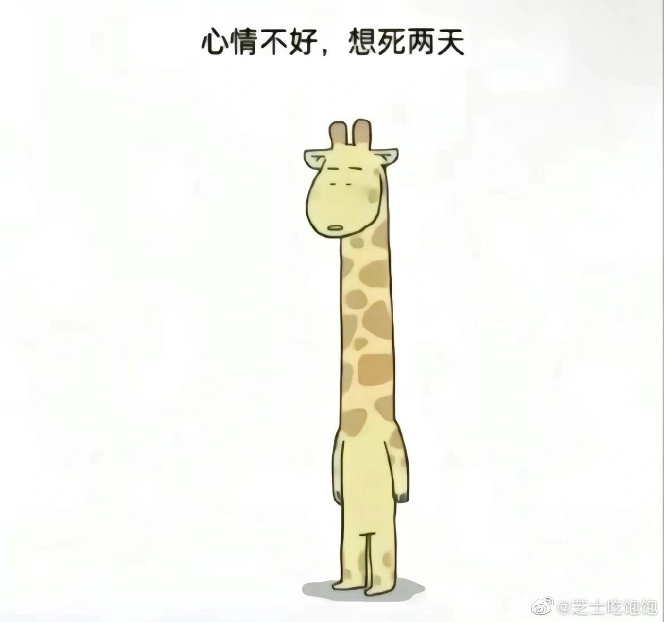 我也心情不好 可我不连累朋友 哈哈哈哈 #搞笑段子# #逗你玩呢