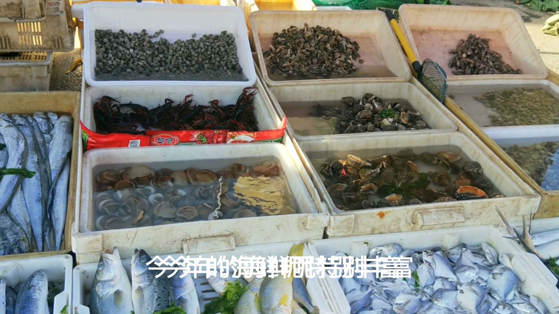 许多朋友还不知道山东威海张村这处海鲜市场,海鲜种类繁多