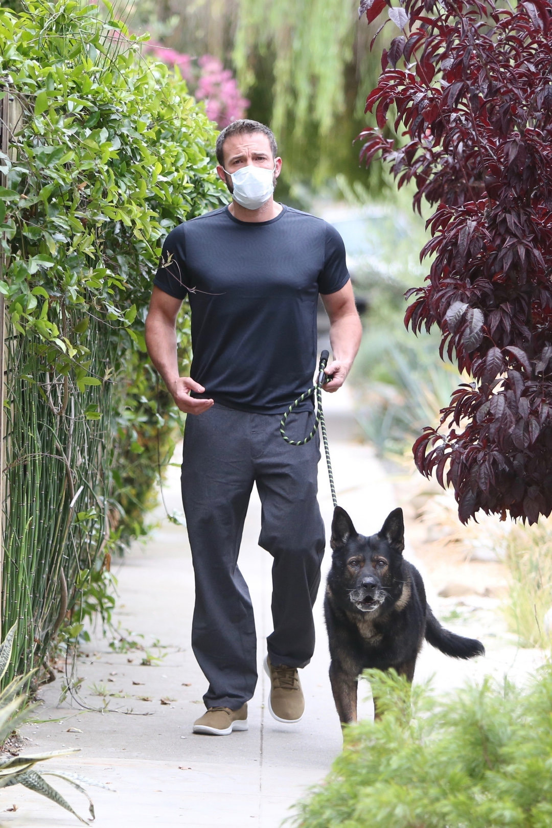 超型!本阿弗莱克ben affleck暴帅遛狗最新街拍!