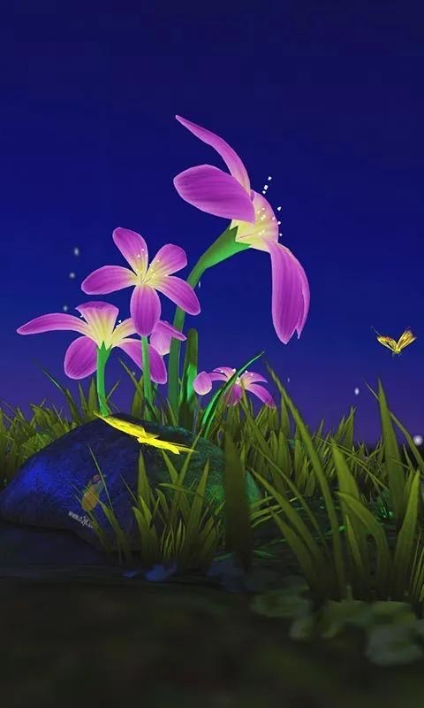 480_800竖版 竖屏